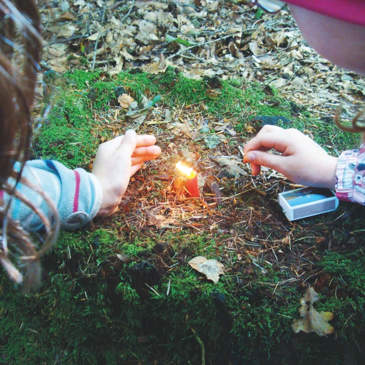 Walderlebnisse in einem halben oder ganzen Tag. Ein Angebot der Fachstelle NaTech.