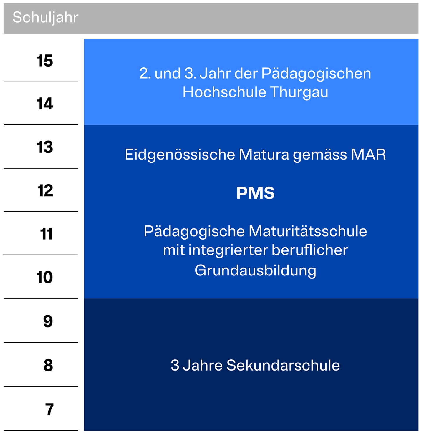 Grafik zum Thurgauer Weg: Von der PMS an die PH Thurgau